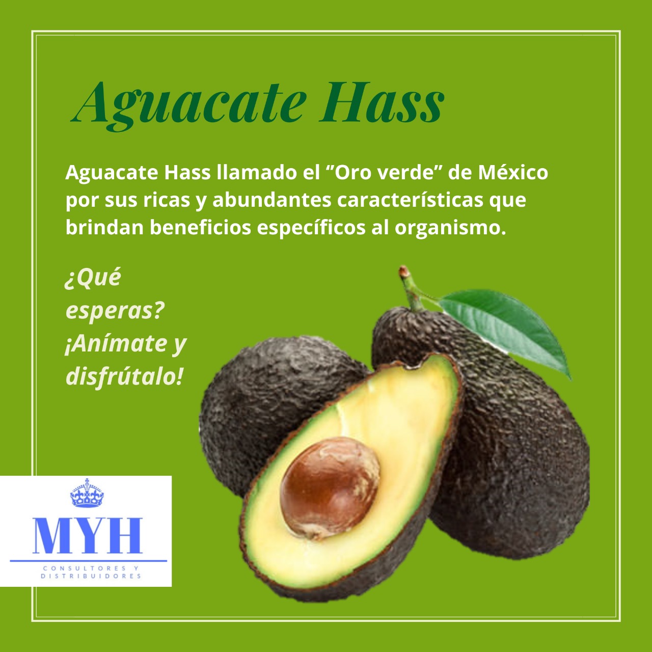 Día del Internacional Del Aguacate: Gracias a Michoacán, México Es El Mayor  Exportador De Aguacate –  – Noticias de última hora, con un  toque acidito