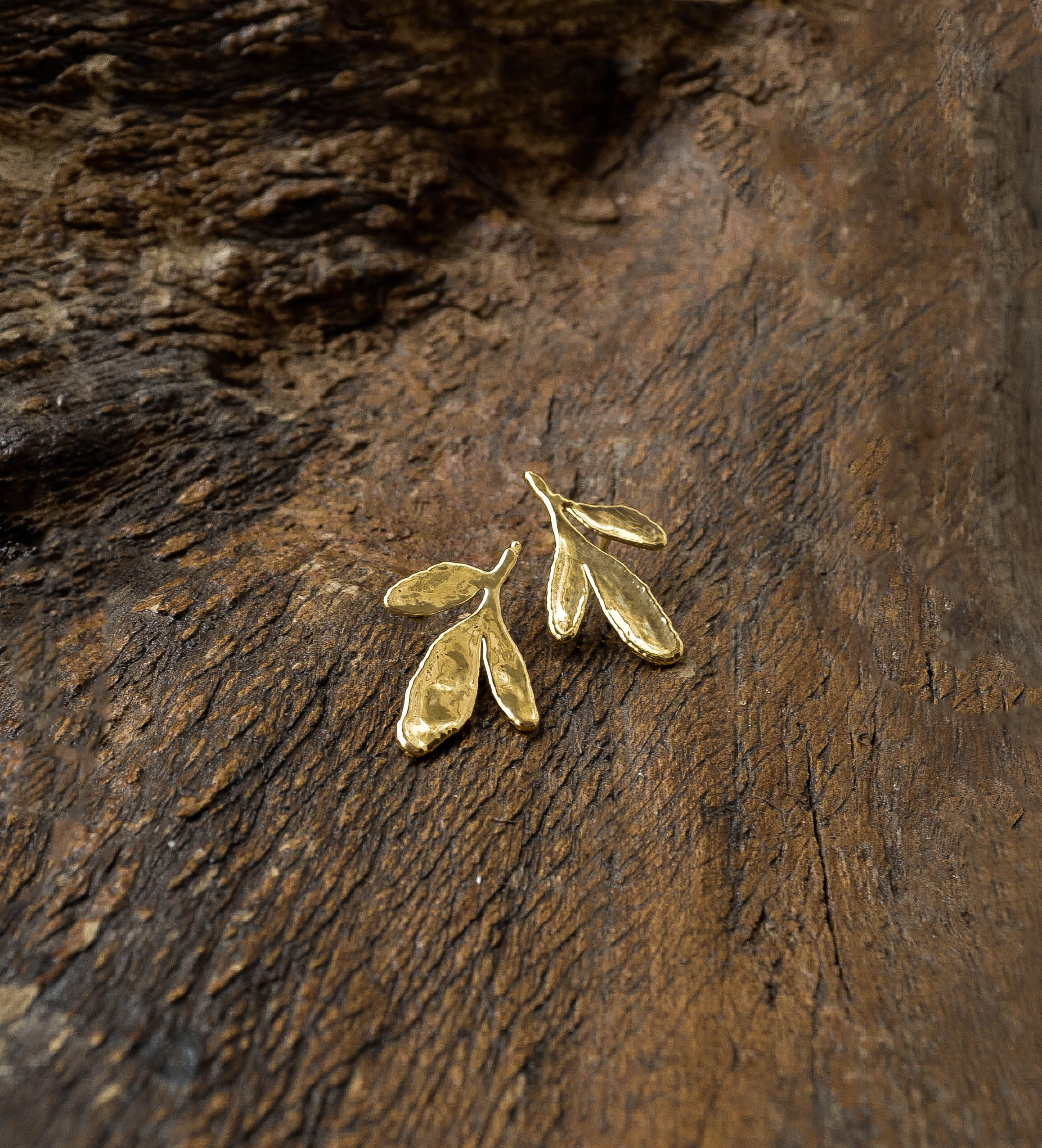 Pau-Brasil - Amarjon Biojoias - Joias feitas com folhas naturais banhadas a  ouro.