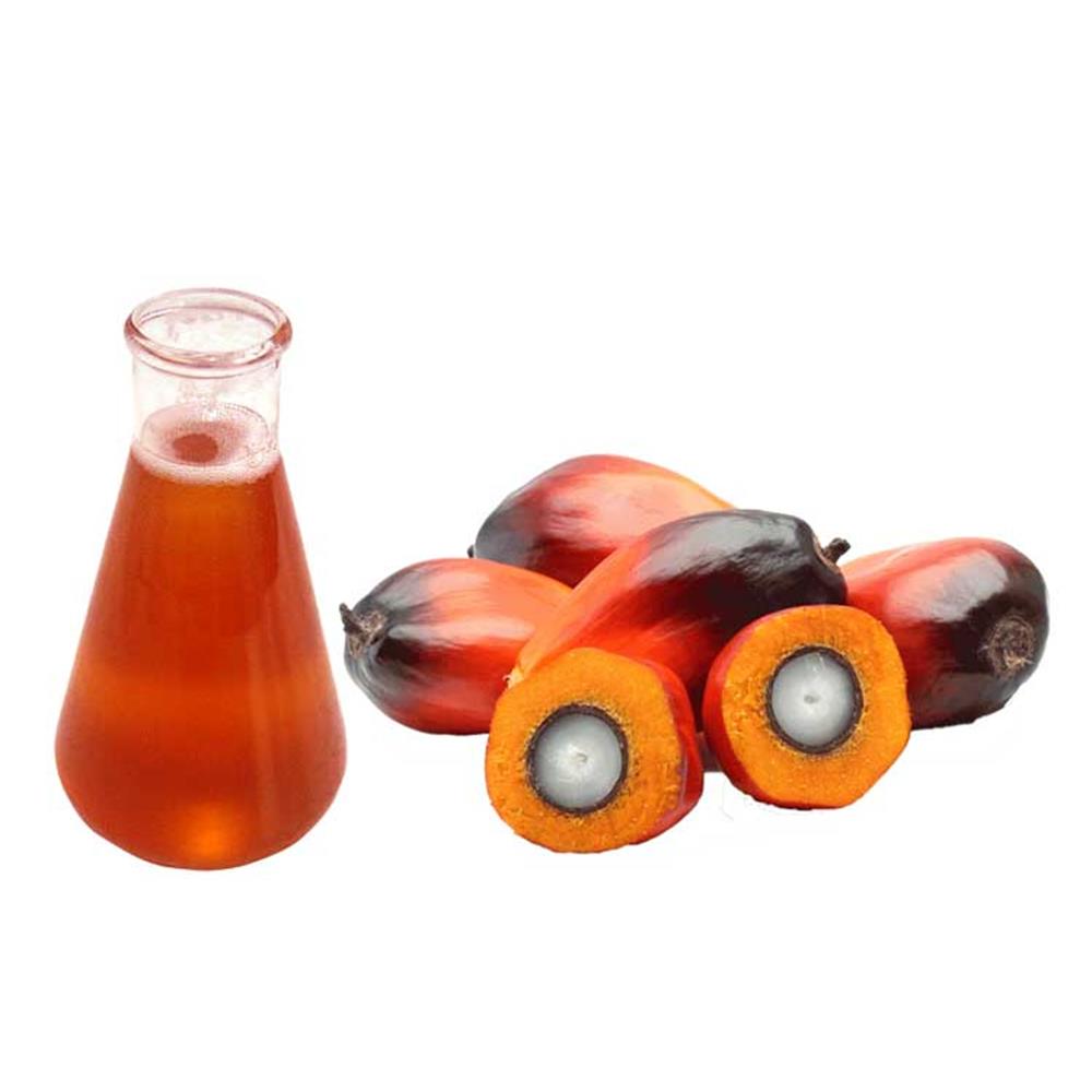 CRUDE PALM OIL Américas | ConnectAmericas