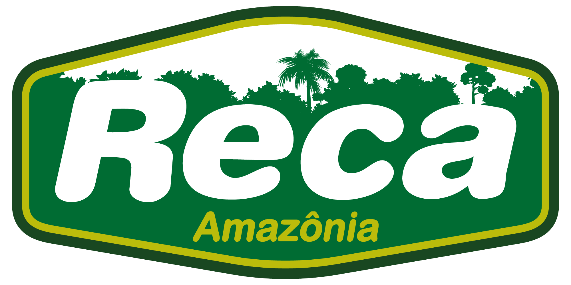 Cooperativa Agropecuária E Florestal Do Projeto Reca Connectamericas