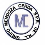 David  Mendoza
