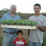 Elvis Borjas