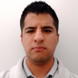 Enrique David Bringas Aviles