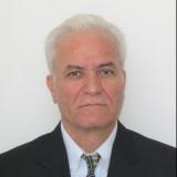Ali K T BASARAN, PhD