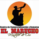 Carmen Cueto