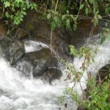 RAFAEL ANTONIO GARZON FARAFN