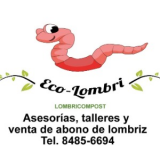 Warner Alvarez Prado