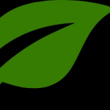 CARLA JOHANNA SUAREZ CALDERON