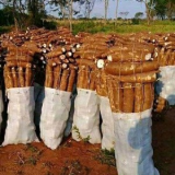 Edison Arlex Jaramillo Osorio