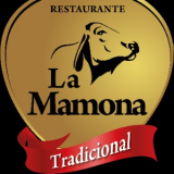 ALEJANDRO ALBERTO VARGAS VILLAMIL