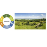 Mariela Cuellar Cardozo