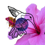 Isabel Elmira Uribe Roncallo