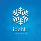 Diego Alonso Gutiérrez Mazo