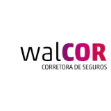 Walter Queiroz Jr