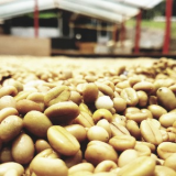 Gabriel Ernesto Campos Alvira