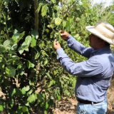 EVELIO RENE ERASO CERON