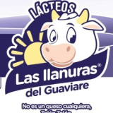 Jorge Hernando Ahumada Cendales