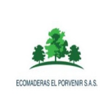 William Ernesto Pedraza Rodríguez