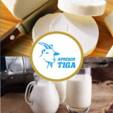 leydi natali tiga tiga