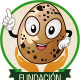 wilinton orlando  correa gamboa