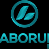 ROSARIO ANDREA VANEGAS PEREZ