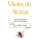 NOREIDA  PUERTA ALCARAZ