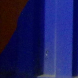 Marco Cabrera