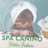 TIENDA Y SPA PELITO FASHION