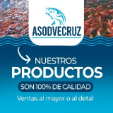 Yhonis Gustavo Molina