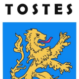Manoel Tostes