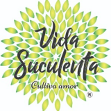 CIFUENTES MOSQUERA MARGARETH