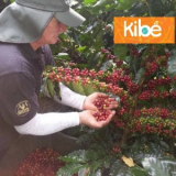 Productos KIBÉ