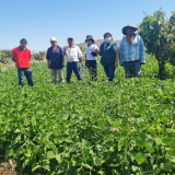 ASOc DE PRODUCTORES AGROPECUARIOS EL HUAYO VIRU