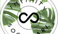 Infinity societari sac