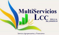 MULTISERVICIOS LCC 2012 C.A.