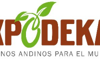 Company