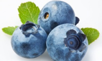 Berries Occidente