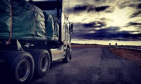 Company