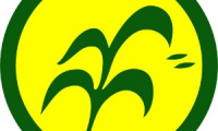 Company