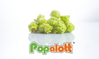 Popalott