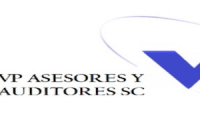 VP Asesores y Auditores SC