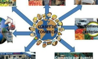 Company