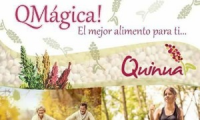 Quinua Mágica