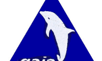 GAIA TRAVEL