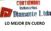Company