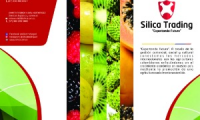 silica trading sas