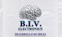 BIV ELECTRONICS
