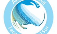 Asociación Civil Tecnológica del Sur