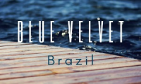 Blue Velvet Brazil
