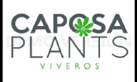 CAPOSA S.A de C.V